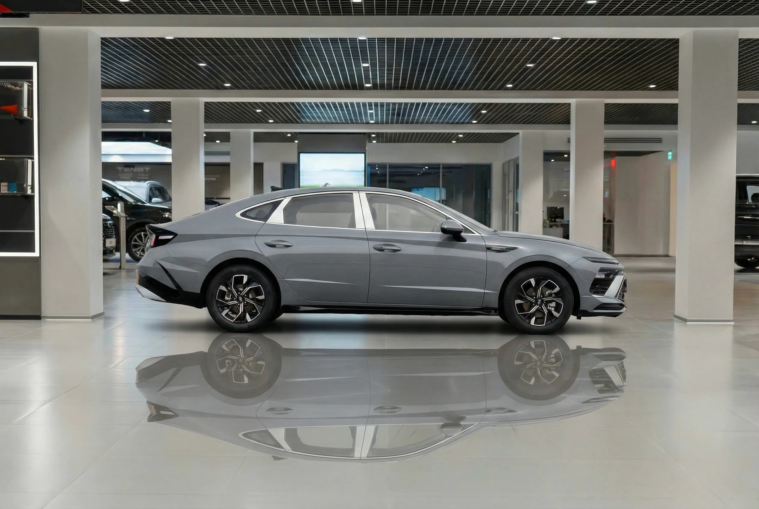 Sonata photo 2
